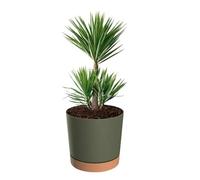 Jardinière Ronde - Botle - Ø 30 Cm - H 28 Cm - 14.5 L - Vert Mat Multicolore