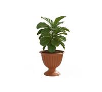Jardinière Sur Pied - Botle - Ø 42 Cm H 43 Cm - Plastique - Terre Cuite Naturelle - Rond Multicolore