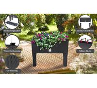 Jardinière surélevée, anthracite, 60 x 25 x 46 cm, design rotin