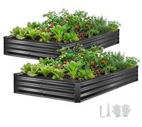 Jardinière surélevée - Jardinière métallique, lot de 2 - Dimensions : 244 x 122 x 30 cm - Rectangulaire - Pour l'extérieur - Pour légumes et fleurs - Avec gants