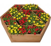 Jardinière surélevée needs&wants® Multi avec 7 bacs de plantation hexagonaux en bois pour jardin, balcon ou terrasse ; cadre pour potager d'herbes aromatiques, bac à fleurs, parterre de fleurs bas