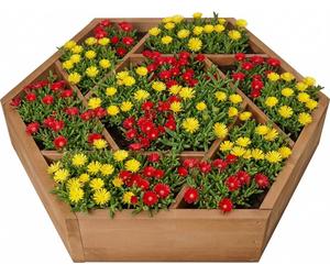 Jardinière surélevée needs&wants® Multi avec 7 bacs de plantation hexagonaux en bois pour jardin, balcon ou terrasse ; cadre pour potager d'herbes aromatiques, bac à fleurs, parterre de fleurs bas