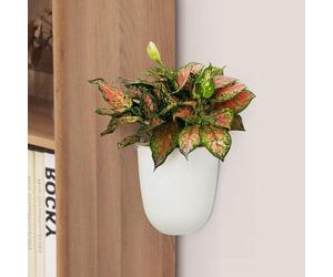 Jardinière suspendue murale auto-arrosante - Jeu de 2 pots de fleurs triangulaires en plastique - Vase moderne pour plantes succulentes - Pour l'intérieur et l'extérieur dans le bureau à domicile