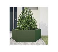 vidaXL Bac à plantes vert olive hexagonal 138x120x45 acier
