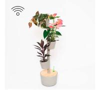Jardinière verticale grise à 3 pots et arrosage automatique wi-fi