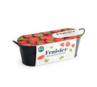 Jardinière zinc noir 30 cm - fraisier
