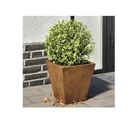 vidaXL Jardinières 2 pcs Acier