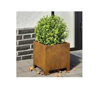 vidaXL Jardinières 2 pcs 30x30x30 cm - Acier résistant aux intempéries