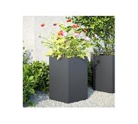 vidaXL Bacs à plantes de jardin 2 pièces anthracite hexagonal 46x40x45 acier