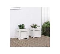 vidaXL Jardinières 2 pièces (837397) Bois de pin massif Blanc - Lits surélevés