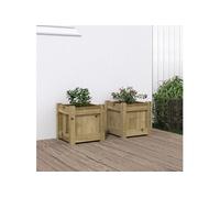 Jardinières 2 pcs bois de pin imprégné Marron G