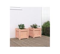 Vidaxl Jardinières 2 Pcs Bois Massif Douglas