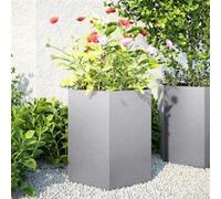 vidaXL Bacs à plantes de jardin 2pcs hexagonaux 46x40x45cm Acier galvanisé
