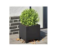 vidaXL Jardinières 2 pcs Acier Noir 30 cm