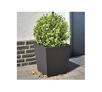 vidaXL Jardinières 2 pcs noir 40x40x40 cm acier, jardinière d'extérieur, boîte à fleurs, boîte de jardin, jardinière de 851053 Noir G