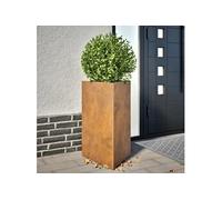 vidaXL Bac à plantes 2 pcs triangulaire 50x43x75 cm acier résistant aux intempéries