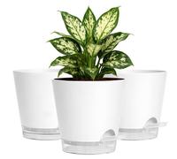 Jardinières auto-arrosables, 15 cm, blanches, lot de 3, en plastique, avec bac de récupération et système d'absorption pour intérieur et extérieur