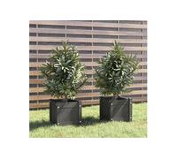 Jardinières d extérieur 2 pcs Gris 31x31x31 cm Bois de pin