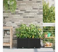 Jardinières Vidaxl Avec Système D'irrigation 2 Pcs Noir