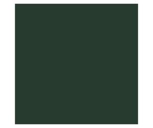 Jaune Olive 087 / 892 Pot De Peinture Acrylique 17ml - Prince August