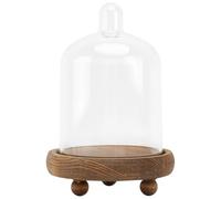 JECOMPRIS Dôme Transparent PC pour Fleur Éternelle, Présentoir Décoratif | Base Bois Café, Usage Vitrine et Centre de Table, Style Élégant pour Plantes Artificielles et Objets