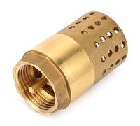 Jeffergarden Clapet Anti-retour Femelle en Laiton DN25, Clapet de Pied fileté Unidirectionnel avec Maille de Crépine, Filtre Inférieur de Pompe à Eau Anti-retour, Conception de Trous pour les Systèmes