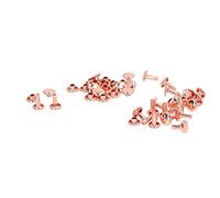 Jelquix Rivets en Fer Double Face 100 Ensembles pour Vêtements de Bricolage en Cuir, Capuchons en or Rose, Portables et Légers pour Vêtements Punk, Chaussures, Sacs, Colliers pour Animaux de Compagnie