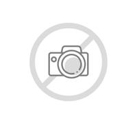 JEU DE 2 FERS PROFILES ACIER HT.40MM N°017-800.017 - LEMAN