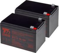 Jeu de batteries T6 Power pour APC Smart-UPS SU1000, VRLA, 12 V