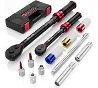 Jeu de clés dynamométriques 1/2" et 3/8", de 20 à 220 Nm et de 5 à 60 Nm, comprenant 12 pièces et des accessoires