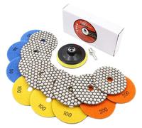 Jeu de disques de polissage diamantés secs de 100 mm, modèles #50x3/100x3/200x2, pour le granit, la pierre, le béton et le marbre, avec plaque de support M14