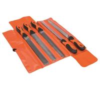 Jeu de limes Ergo 5 pces 250 mm taille 2