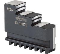 Jeu de mâchoires DIN 6350 DB 160 mm RÖHM | 4019208038599