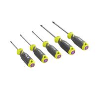 Ensemble de tournevis magnétiques Torx 5 pièces - Ryobi - RHSDST5