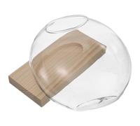 JEWEDECO Vase Hydroponique en Verre, Vase à Eau en Verre Rond avec Base en Bois, pour Fleurs et Herbes, Rebords de Fenêtre et Coins du Salon, Nettoyage Facile, sans Terre