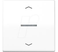 JG BTA17101PWW - Bouton Bluetooth, simple, blanc alpin, flèches
