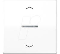 JG BTAS17101PWW - Bouton Bluetooth, simple, blanc alpin, flèches