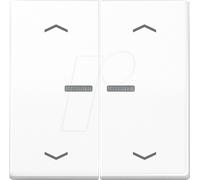 JG BTAS17102PWW - Bouton Bluetooth, double, blanc alpin, flèches