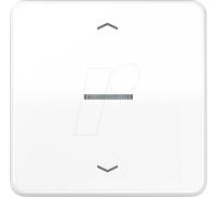 JG BTCD17101PWW - Bouton Bluetooth, simple, blanc alpin, flèches