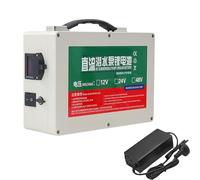 JHKJ Batterie pour pulvérisateur électrique 12 V 20 Ah 30 Ah ; Batteries au Lithium 24 V 48 V 20 Ah 30 Ah de Remplacement pour système d'éclairage Solaire et Stockage d'énergie