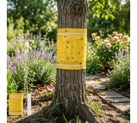Jiaoshou Pan Bande Glue Arbre Fruitier 25cm x 5m, Anneau de Colle Auto-Adhésif avec Fil de Fer, Glue Arboricole, Efficace Contre Fourmis, Chenilles, Insectes Nuisibles