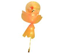 Jiawu Bouquet de Roses Ballon Lumineux avec Lumières LED, Cadeaux de Saint-Valentin en Plastique Transparent pour Elle, Bouquet de Festival Décoratif Romantique pour Fête de Mariage, Anniversaire