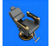 Jidanmian Fauteuil de Coiffure avec Pompe hydraulique, Hauteur réglable, pivotant à 360°, accoudoirs en Acier Inoxydable, Rembourrage en Mousse Haute densité pour Salon de Coiffure et Spa(Gray)