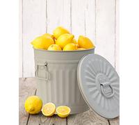 Jinfa | Poubelle en métal galvanisé avec poignées et couvercle | Gris | Diamètre Ø 29 cm - Hauteur 31,5 cm | Capacité: 18 litres