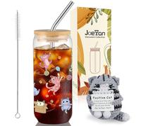 Joeyan Cadeau pour Adolescent,Amoureux des Chats,Filles et Garçons 9-16 Ans | 600ml Chat Drôle Verre Matcha Latte avec Couvercle/Paille & Peluche Chat Crochet Message Positif, Cadeau Inspirant