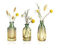 Joeyan Petit Vase en Verre Vert Vintage Centre Deco Table à Manger Lot de 3 | Mini Vase Bourgeon en Gaufré Coloré pour Soliflore Fleur, Decoratif pour Bureau, Domicile, Mariage Décoration