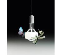 Johnny B. Butterfly Suspension Ingo Maurer - KP_INGO MAURER 14998