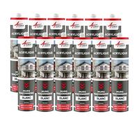 Joint Acrylique, Mastic d'Étanchéité, Mur et Porte 300 ml x 12 Blanc | Rebouche les Fissures, Recouvrable de Peinture, Joint Murs, Placo et Portes, Adhère Béton et Bois - Arcane Industries