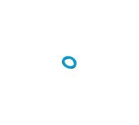 Joint CNK bleu 26x34 sachet de 25 pièces - SIRIUS - 1220087 Bleu G