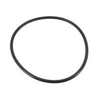 JOINT COUVERCLE PREFITLRE ULTRAFLOW R39300600 pour pompe de piscine